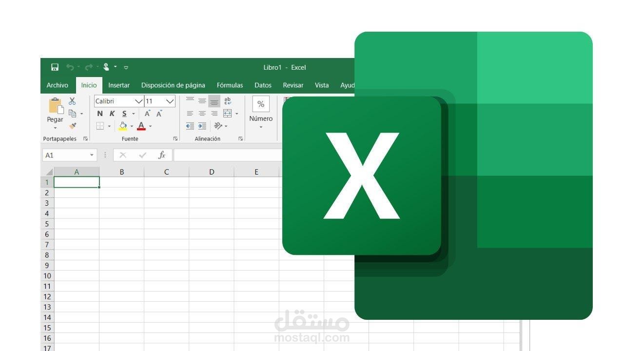 ادخال وتنظيم البيانات في ملف Excel باحترافيه