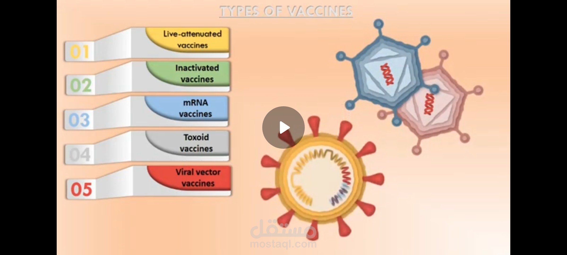 تصميم وإنتاج فيديو تعليمي: محتوى أكاديمي متخصص