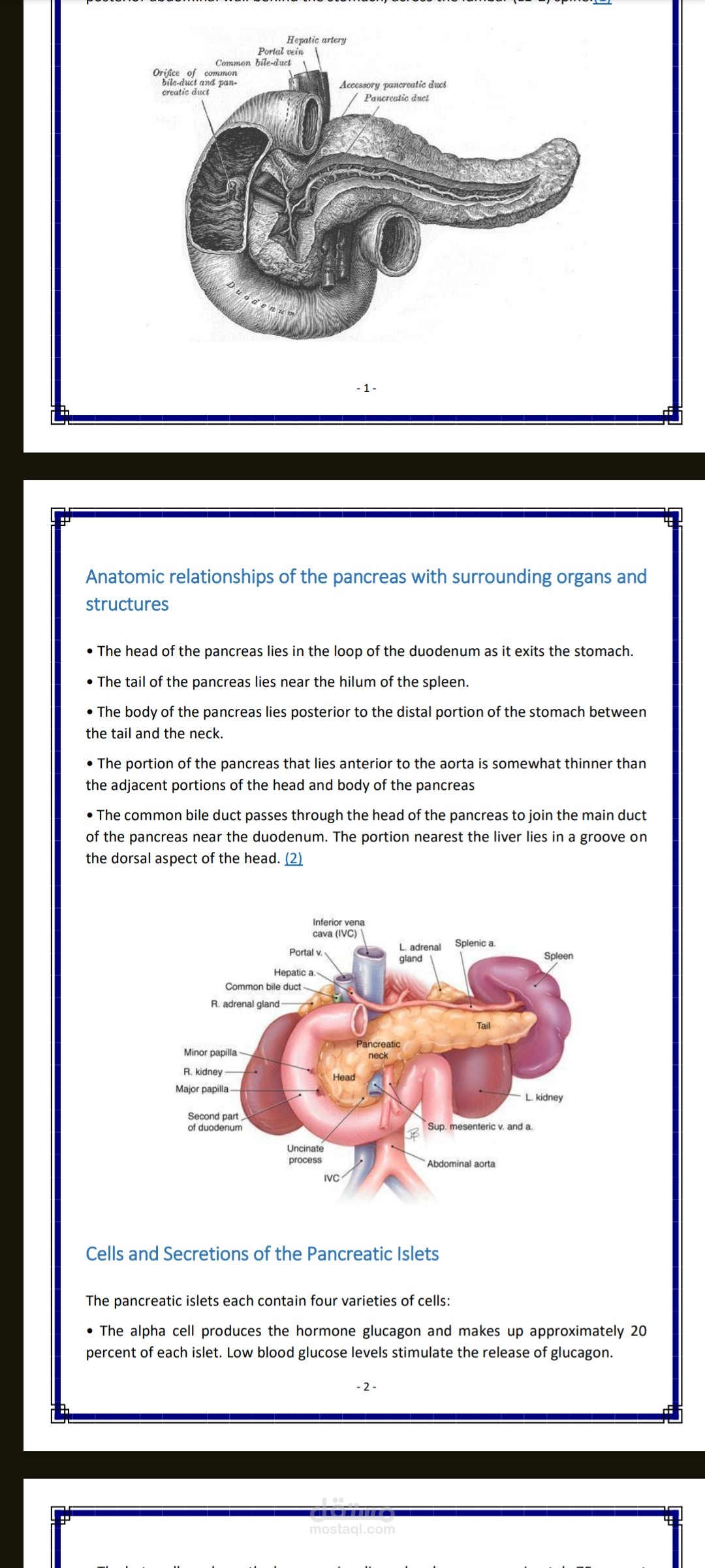 إعداد وتنسيق تقرير علمي شامل: دراسة في وظائف الأعضاء (Physiology)