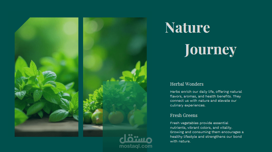 تصميم عروض تقديمية مؤثرة وبوسترات سوشال ميديا احترافية