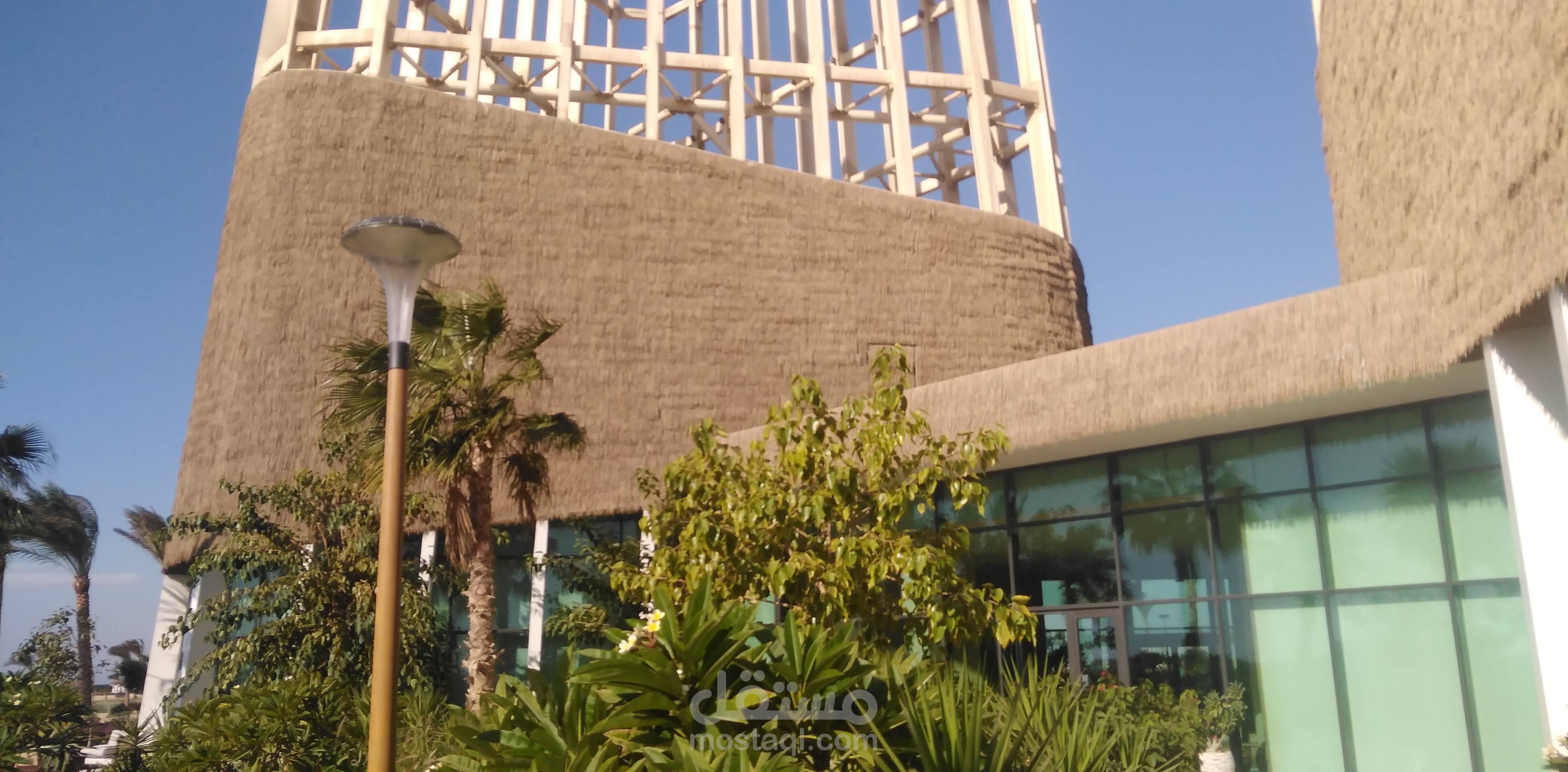 تصوير