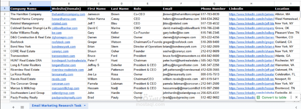 خبير تسويق عبر البريد الإلكتروني