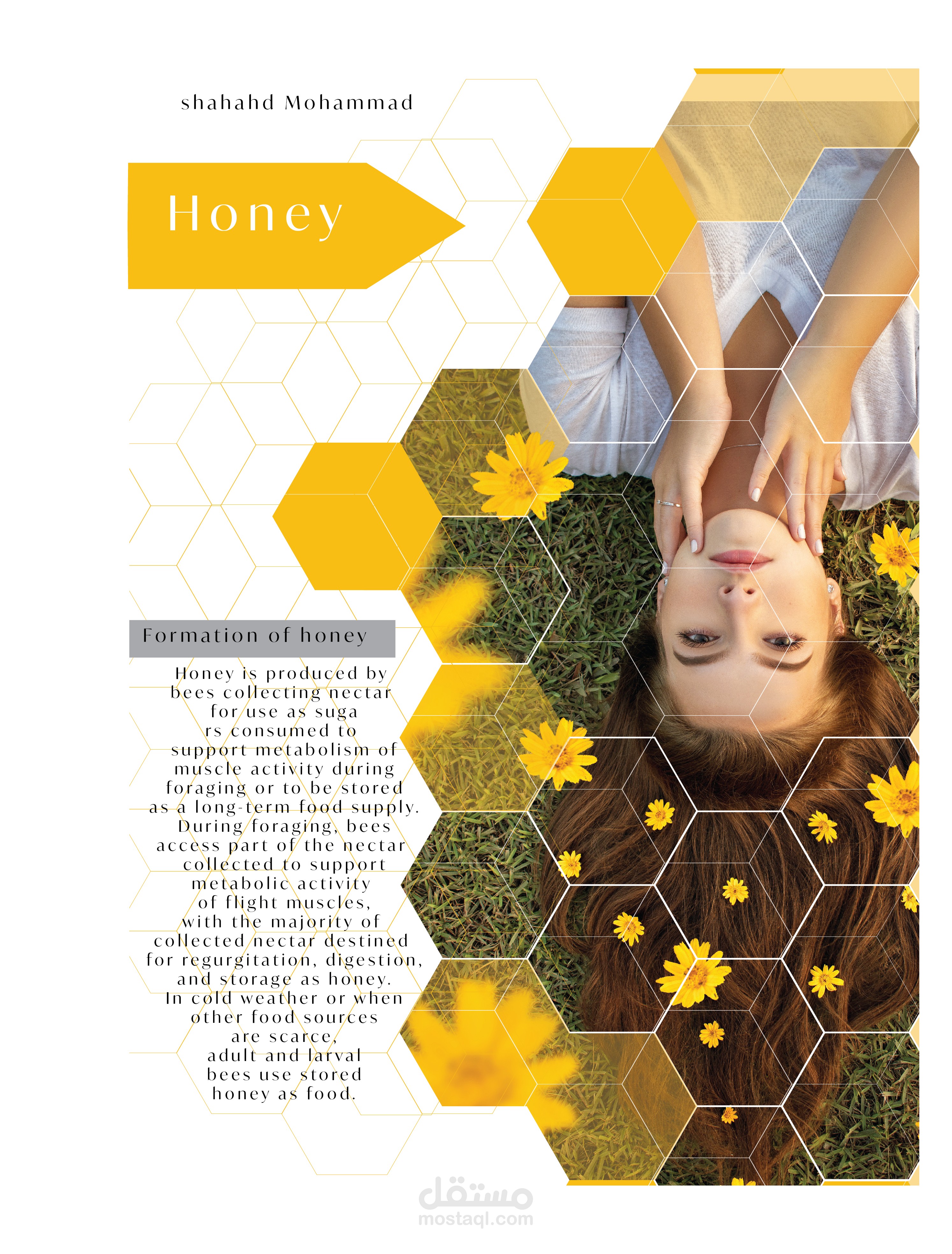 Poster |  بوستر إعلاني