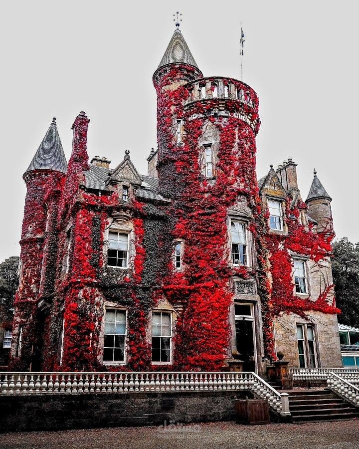 (القصر الاحمر)خواطر