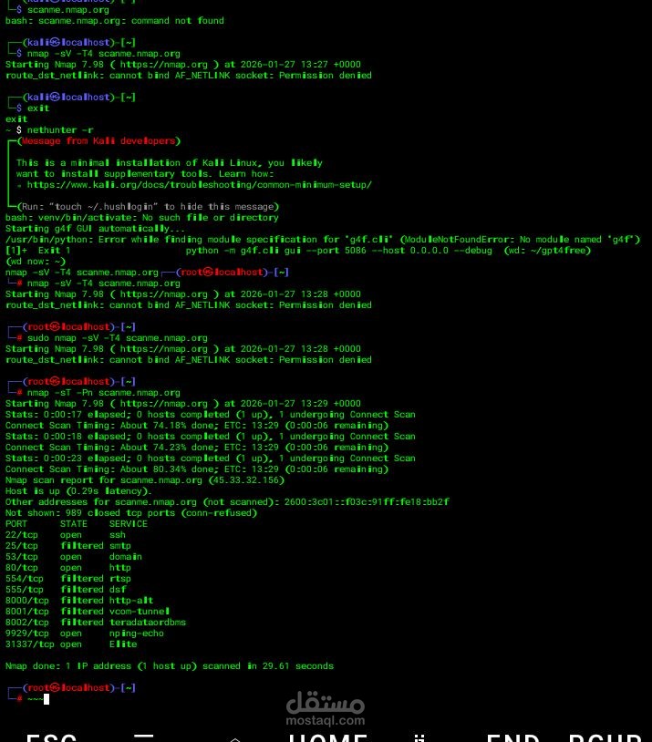 فحص أمني شامل وكشف ثغرات لموقع إلكتروني (Vulnerability Assessment)