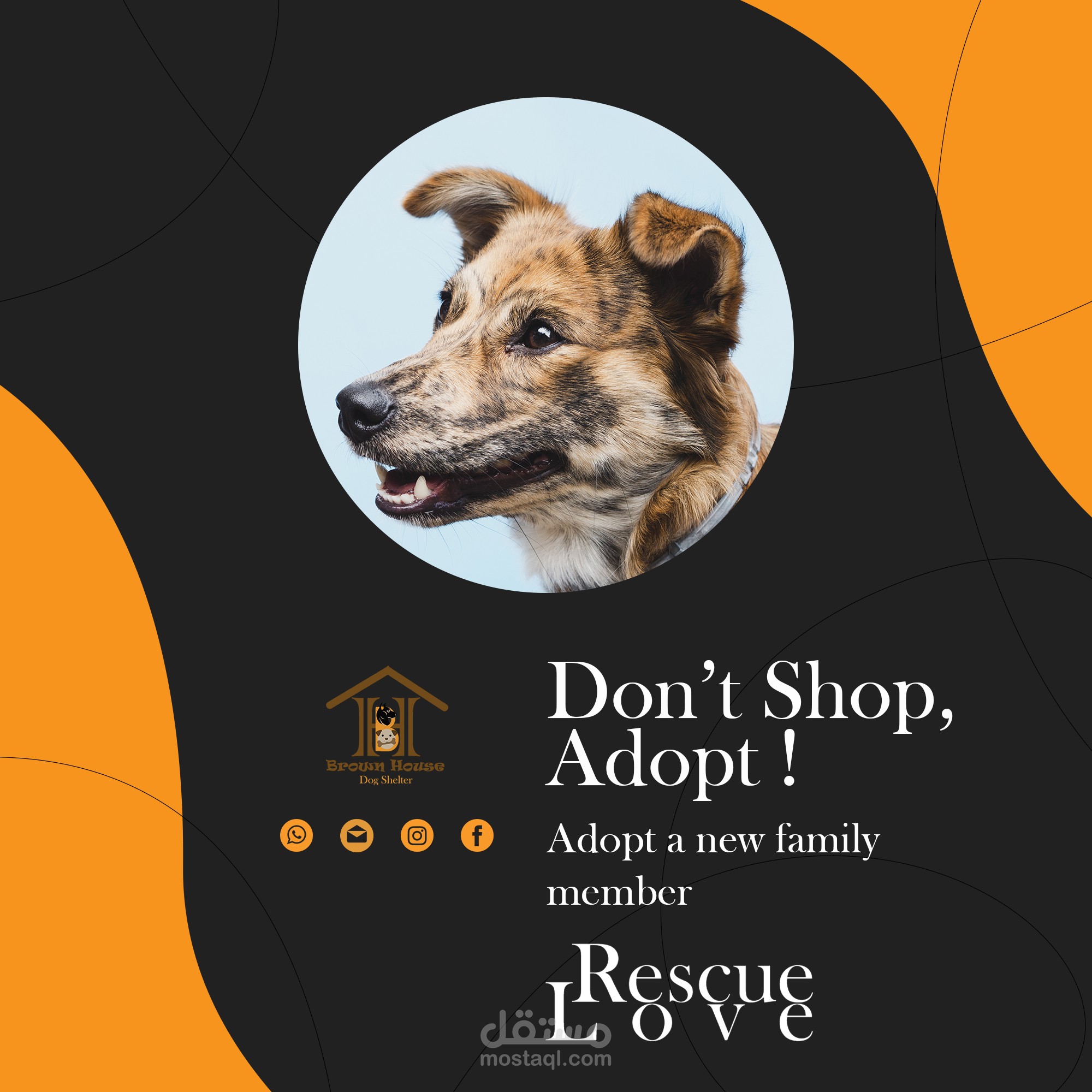 تصميم هوية بصرية واعلانات سوشيال ميديا وفلاير لمأوى حيوانات أليفة