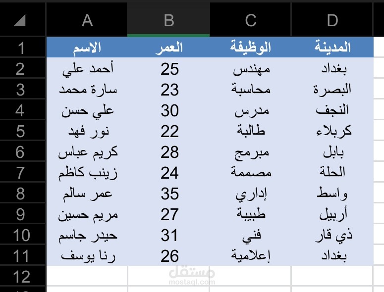 إدخال بيانات وتنظيمها (Excel)