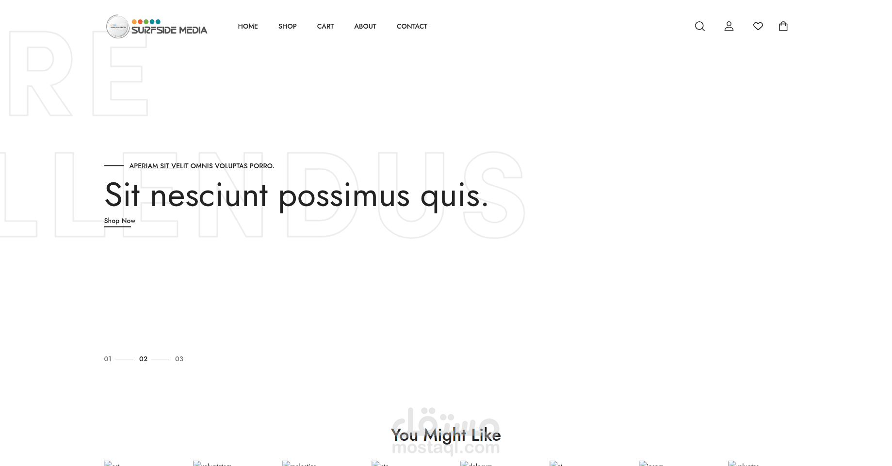 E-Commerce Web Application – Laravel 11 (Blade)