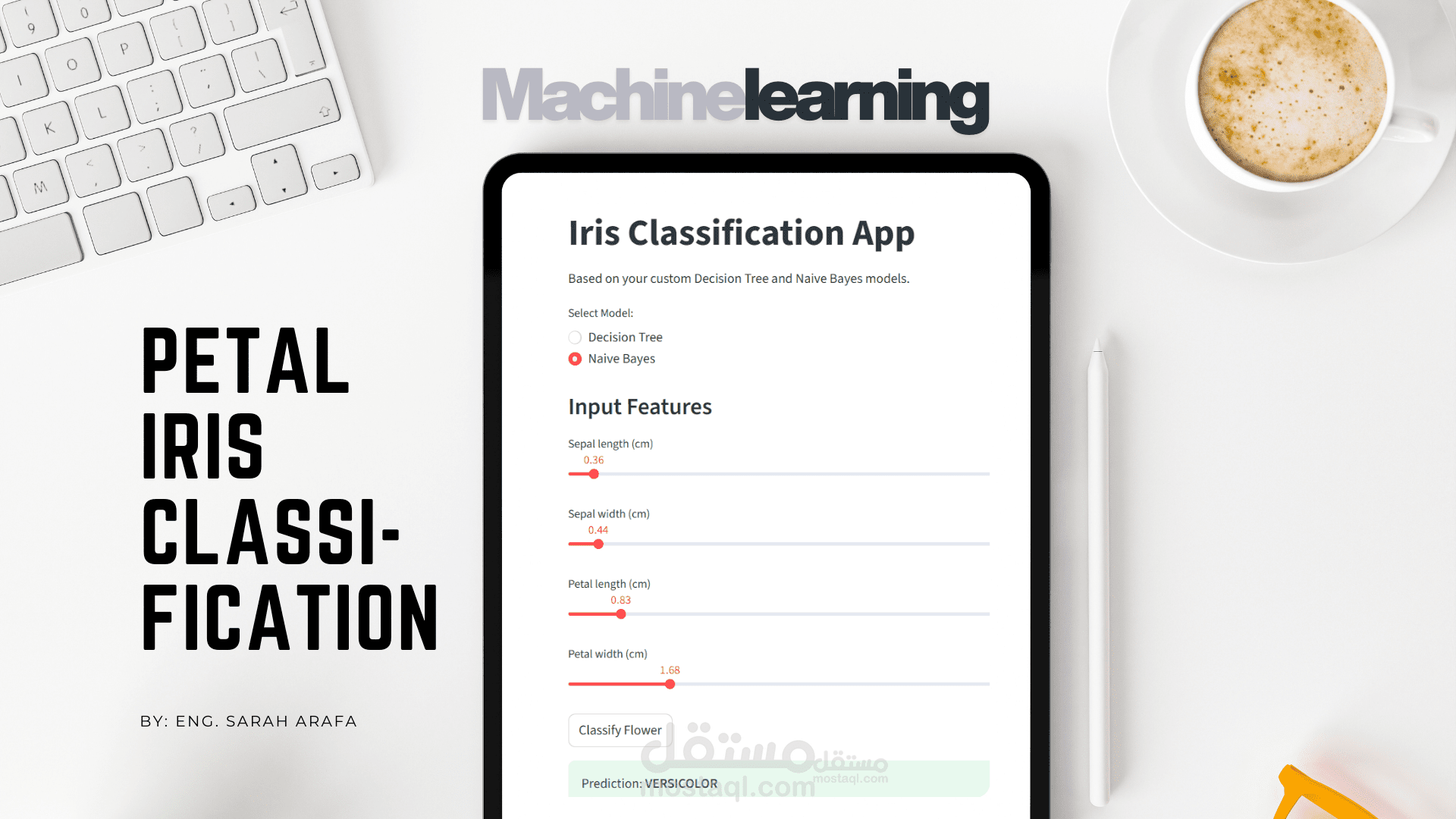 Petal Iris Classification