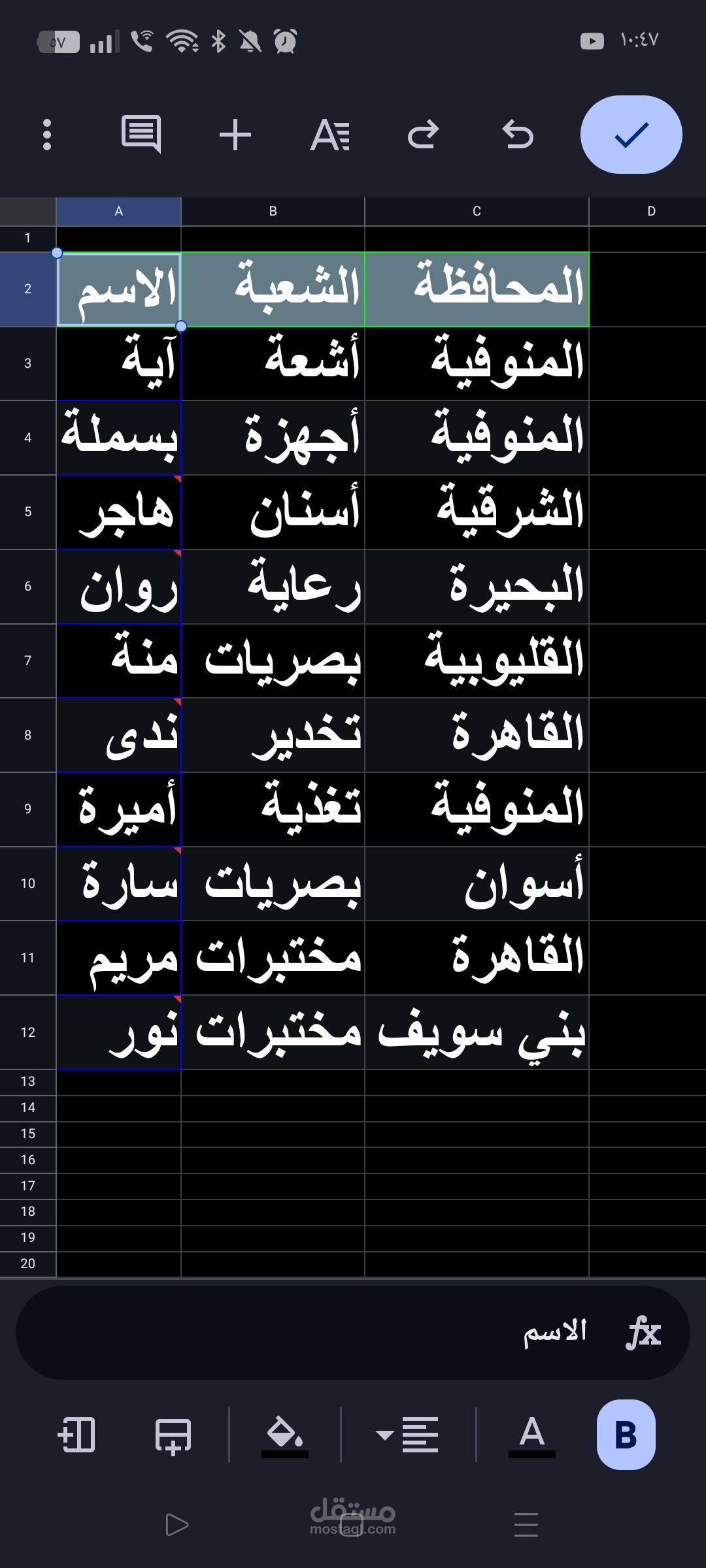 نموذج_ملف_بفلتر.xlsx