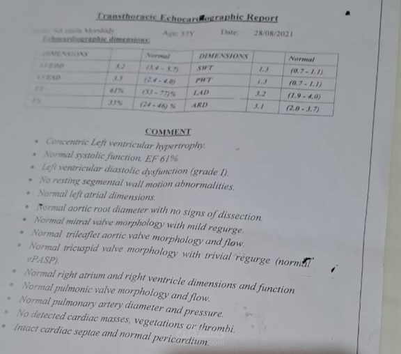 تفسير تقرير ايكو