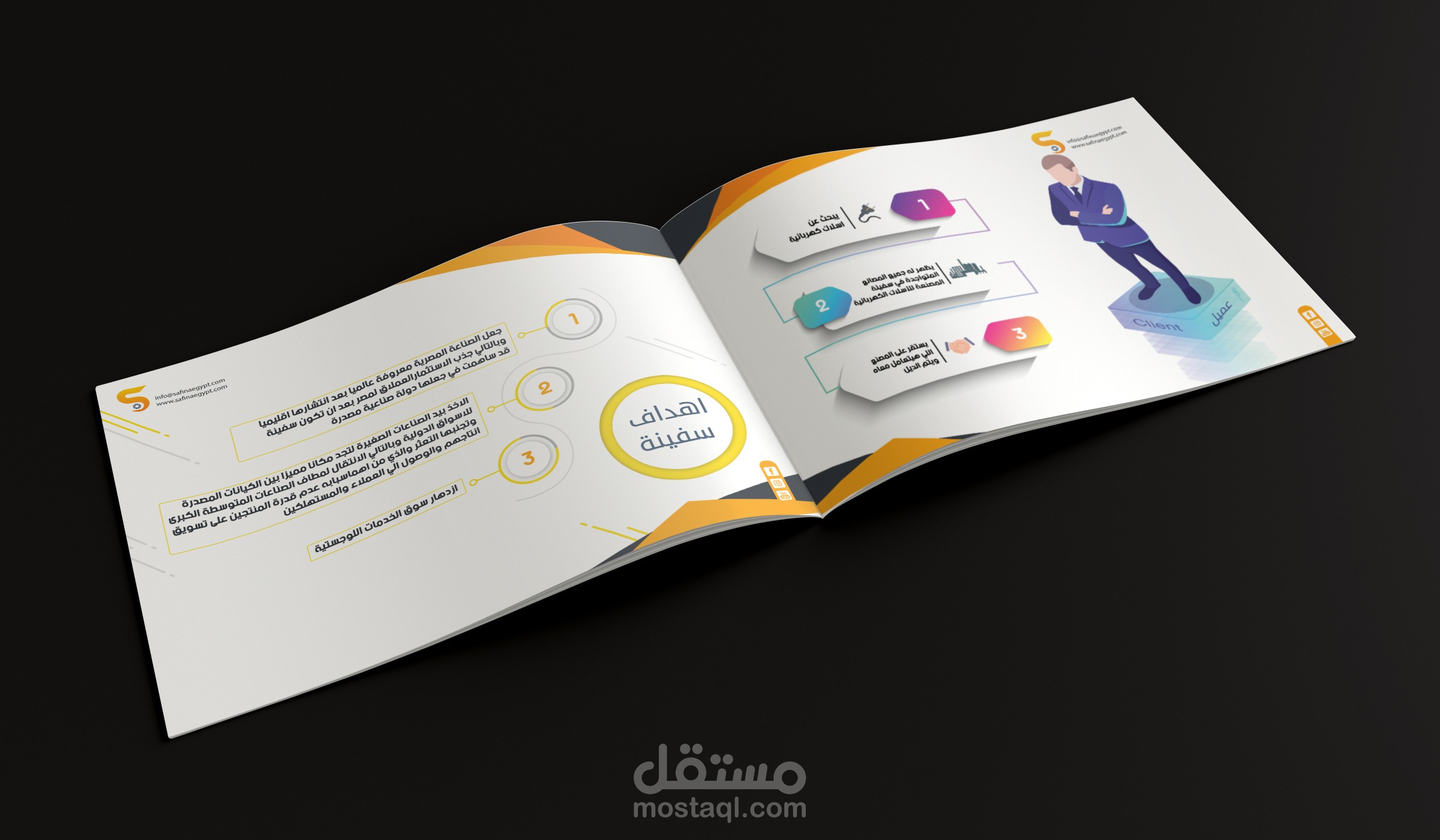 company profile ( SAFINA )