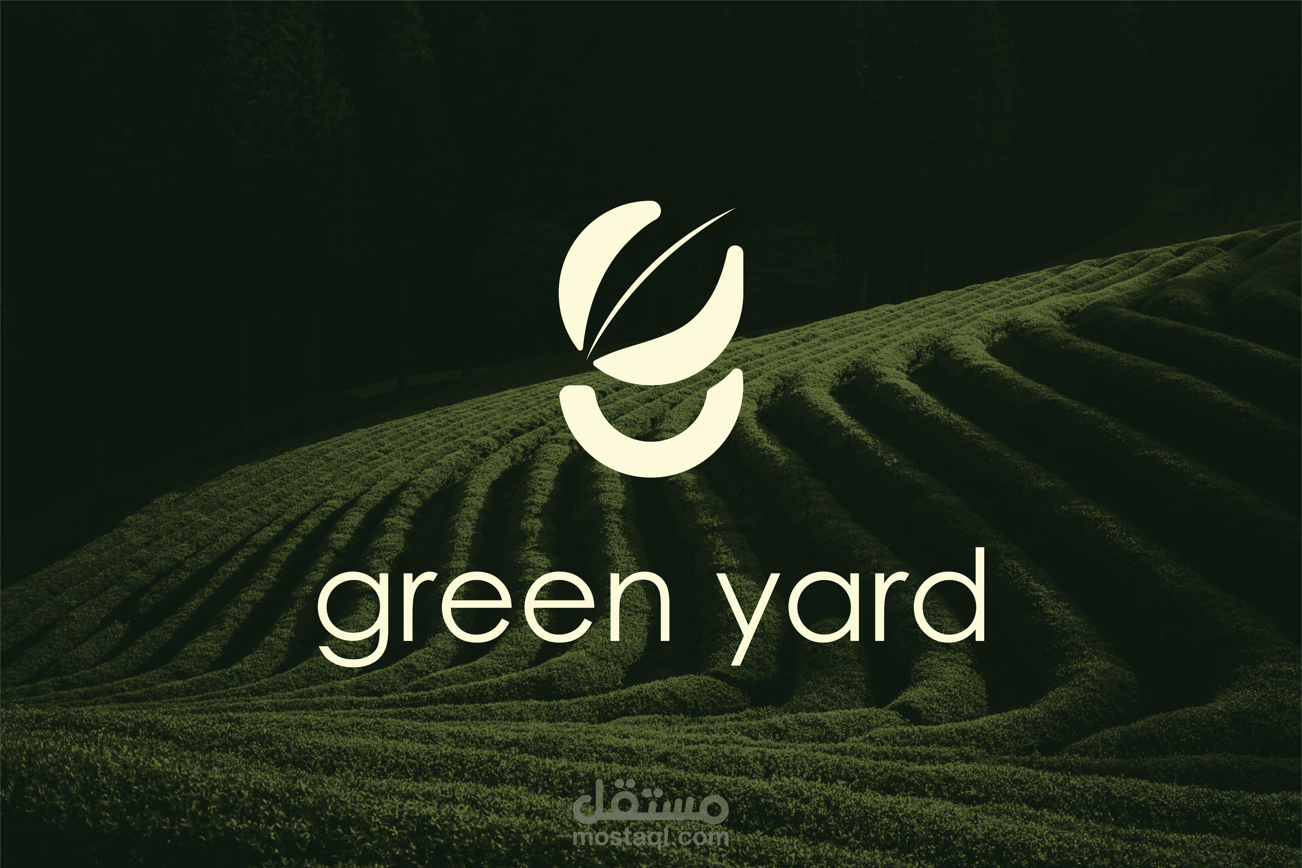 Green Yard – Tea Brand Logo & Packaging Cover Design