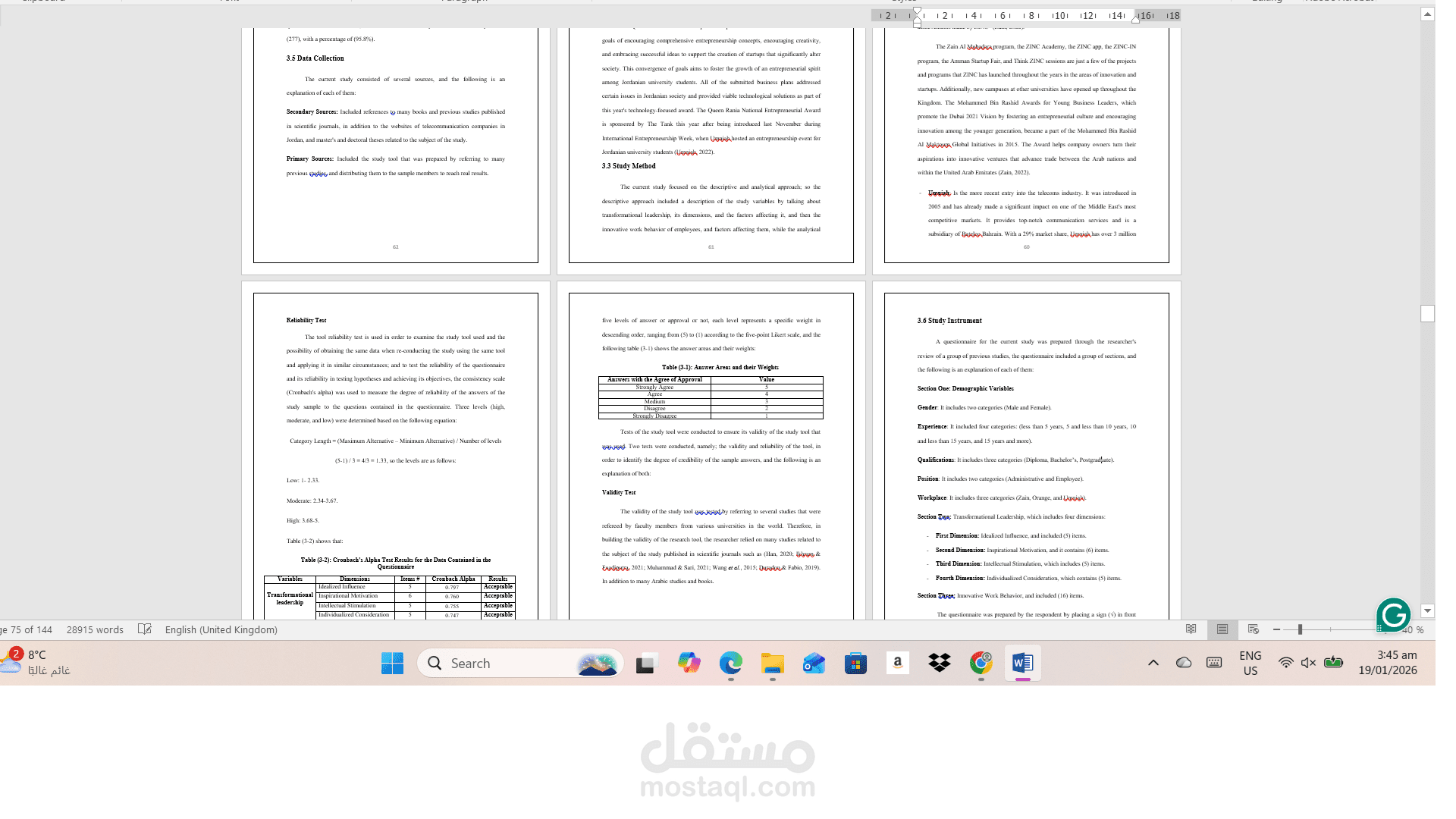 Master’s Thesis Preparation - Professional Academic Writing & Formatting