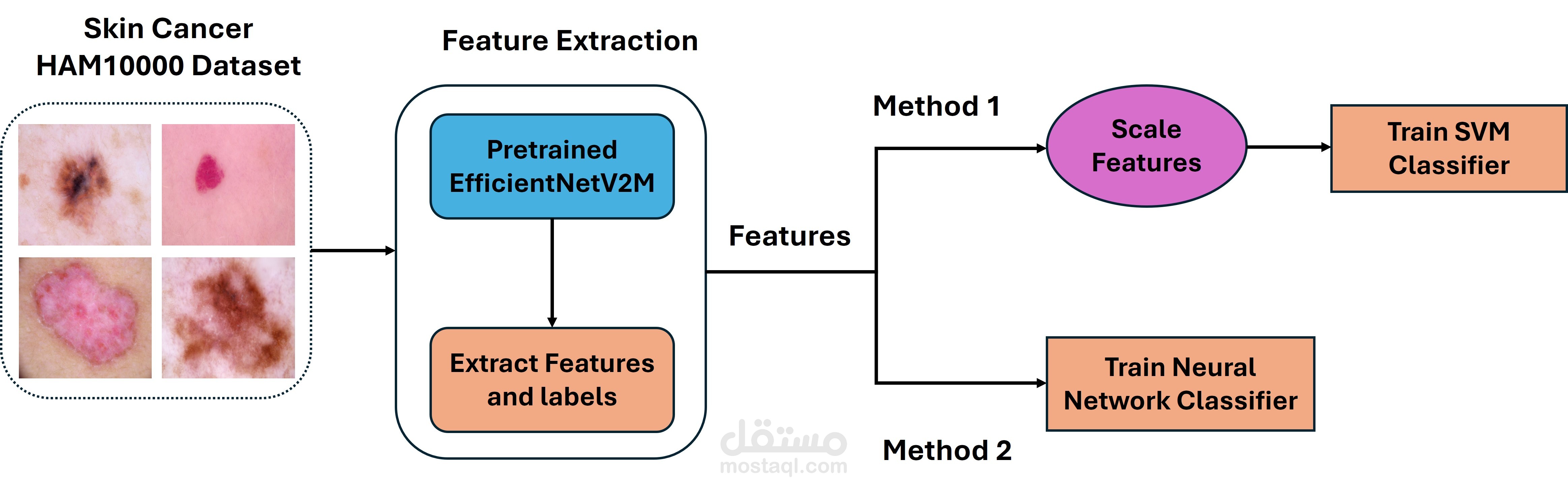 Skin Melanoma, Actinic Keratosis, and Basal Cell Carcinoma Tumors Detections Versus Normal Tissues Based on A Deep Learning Classification Models