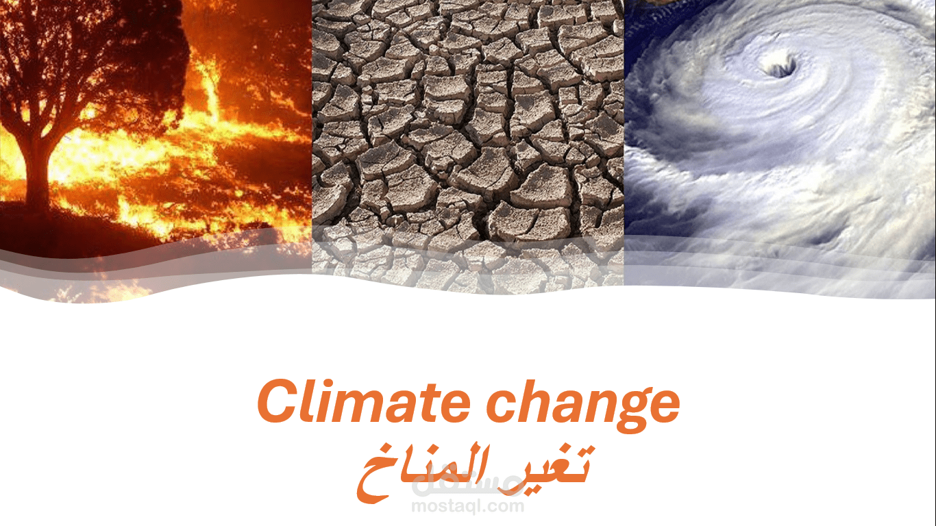 Climate change scientific article