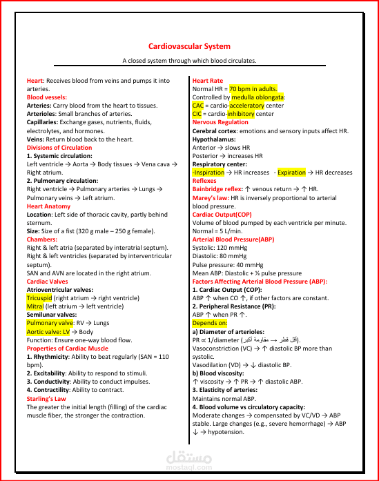 تلخيص وتنسيق محتوي محاضرة لمادة الفسيولوجي