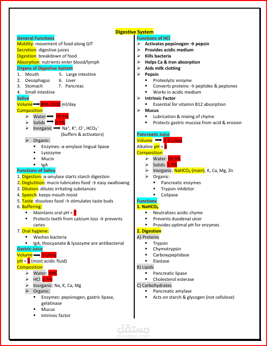 تلخيص وتنسيق محتوي محاضرة لمادة الفسيولوجي