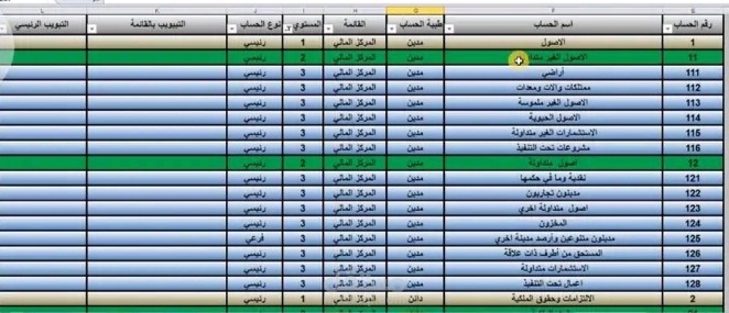 بناء هيكل مالي متكامل (شجرة حسابات) للمنشآت والشركات