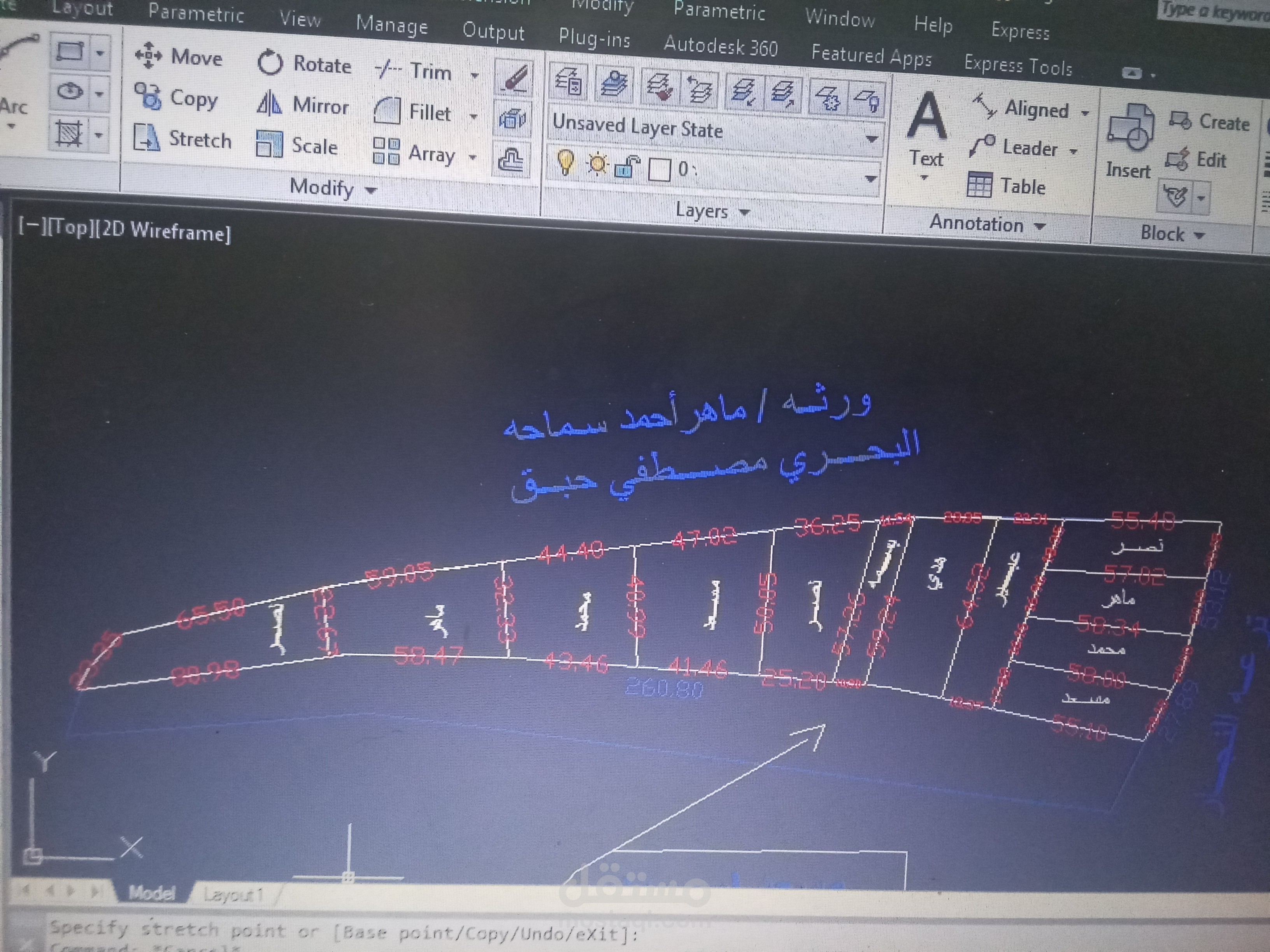 المنزله الدقهليه