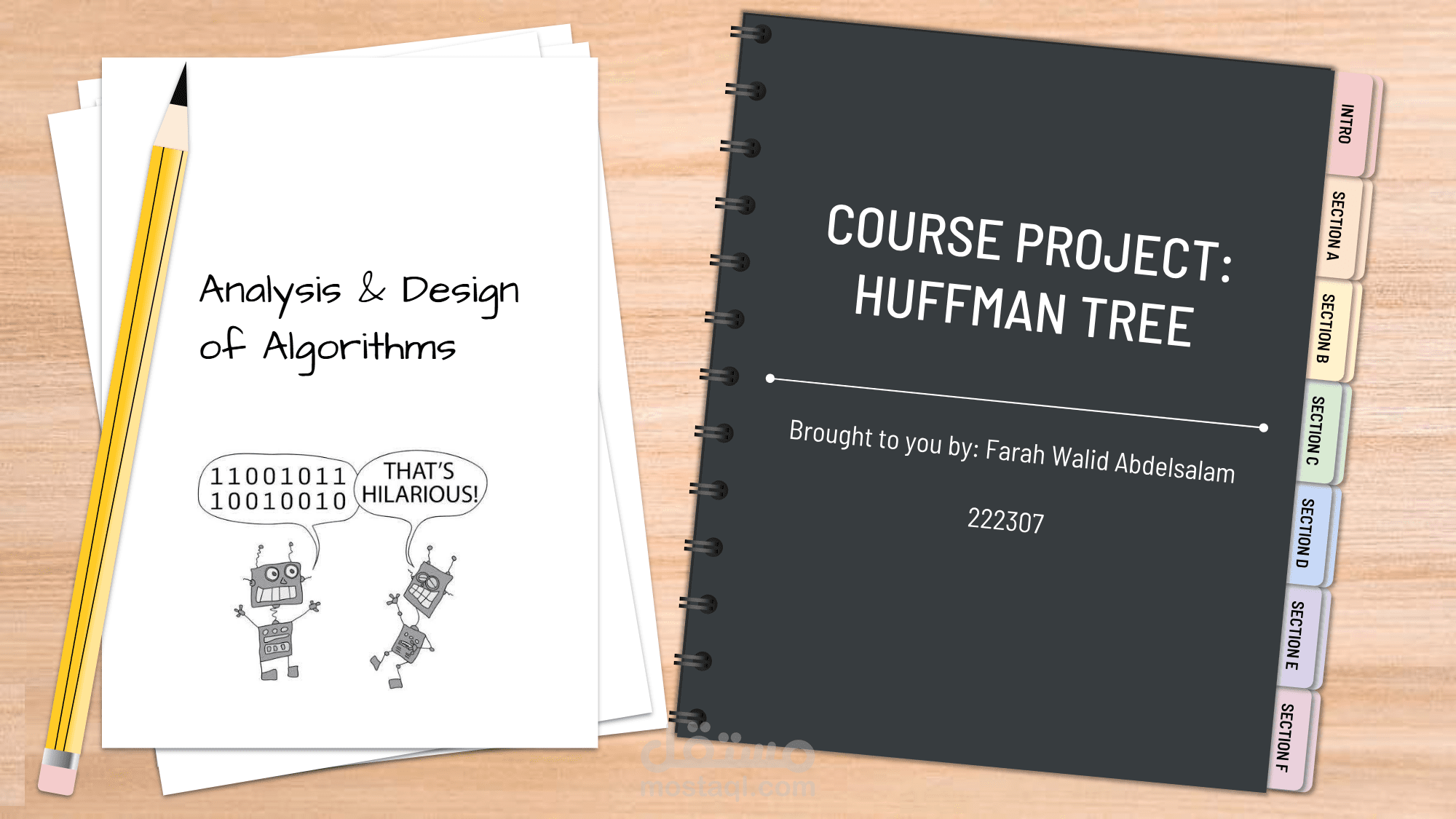 Analysis and Design of Algorithms Project- Video Explanation