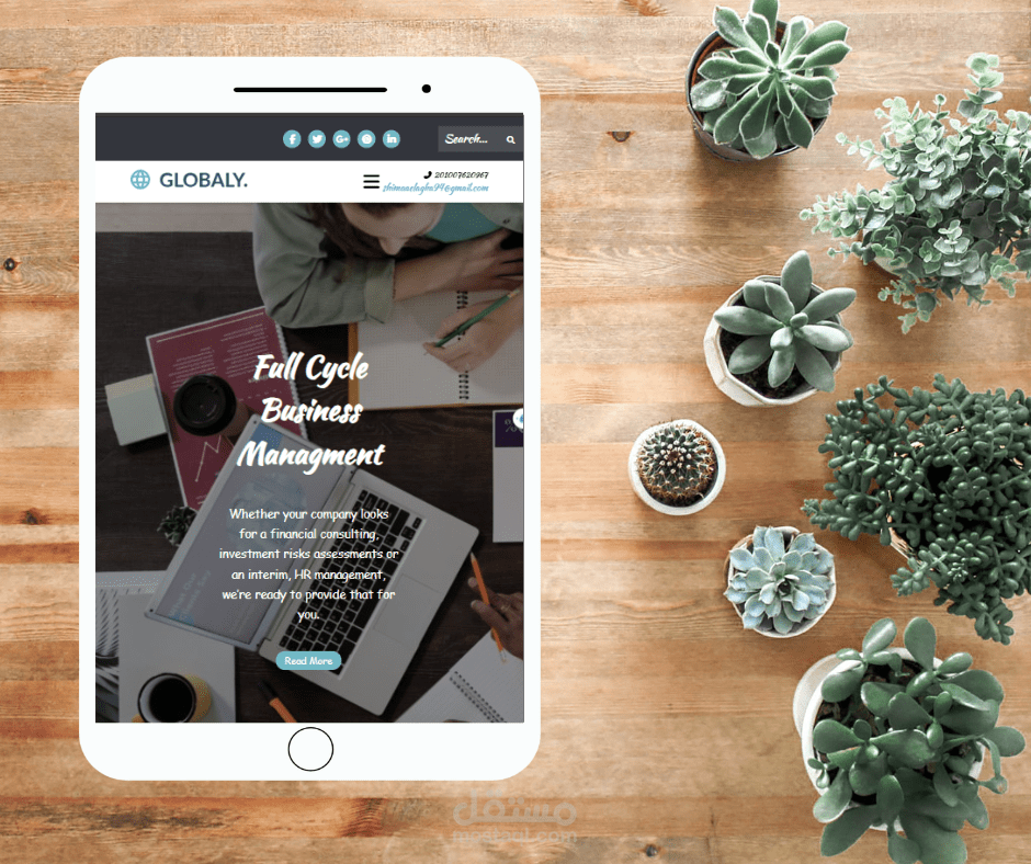 Globaly website