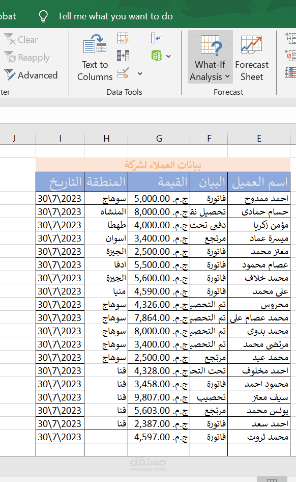إدخال وتنظيم بيانات العملاء وتصنيفها بحسب المنطقة والبيان