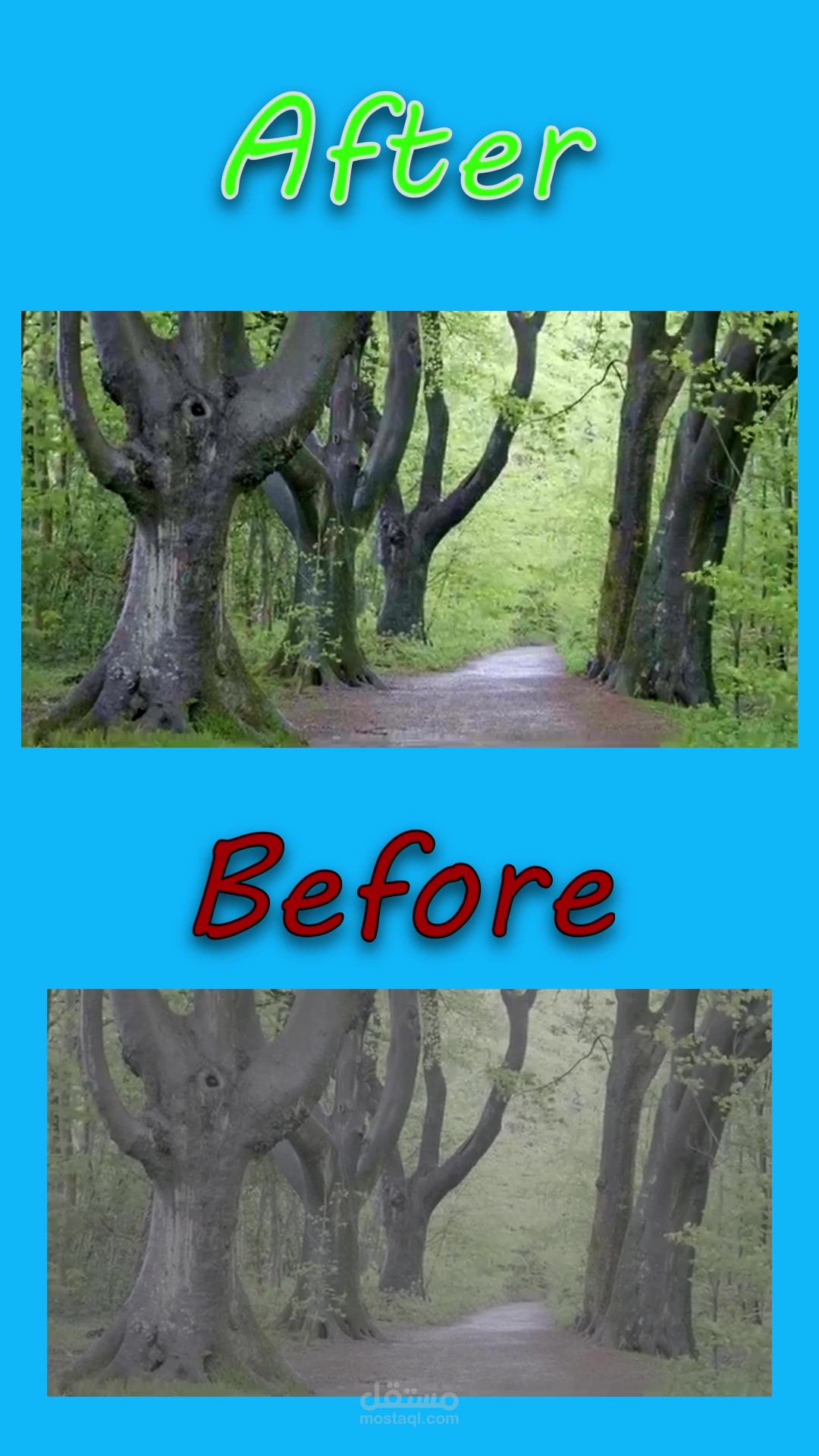 Before and After coloring
