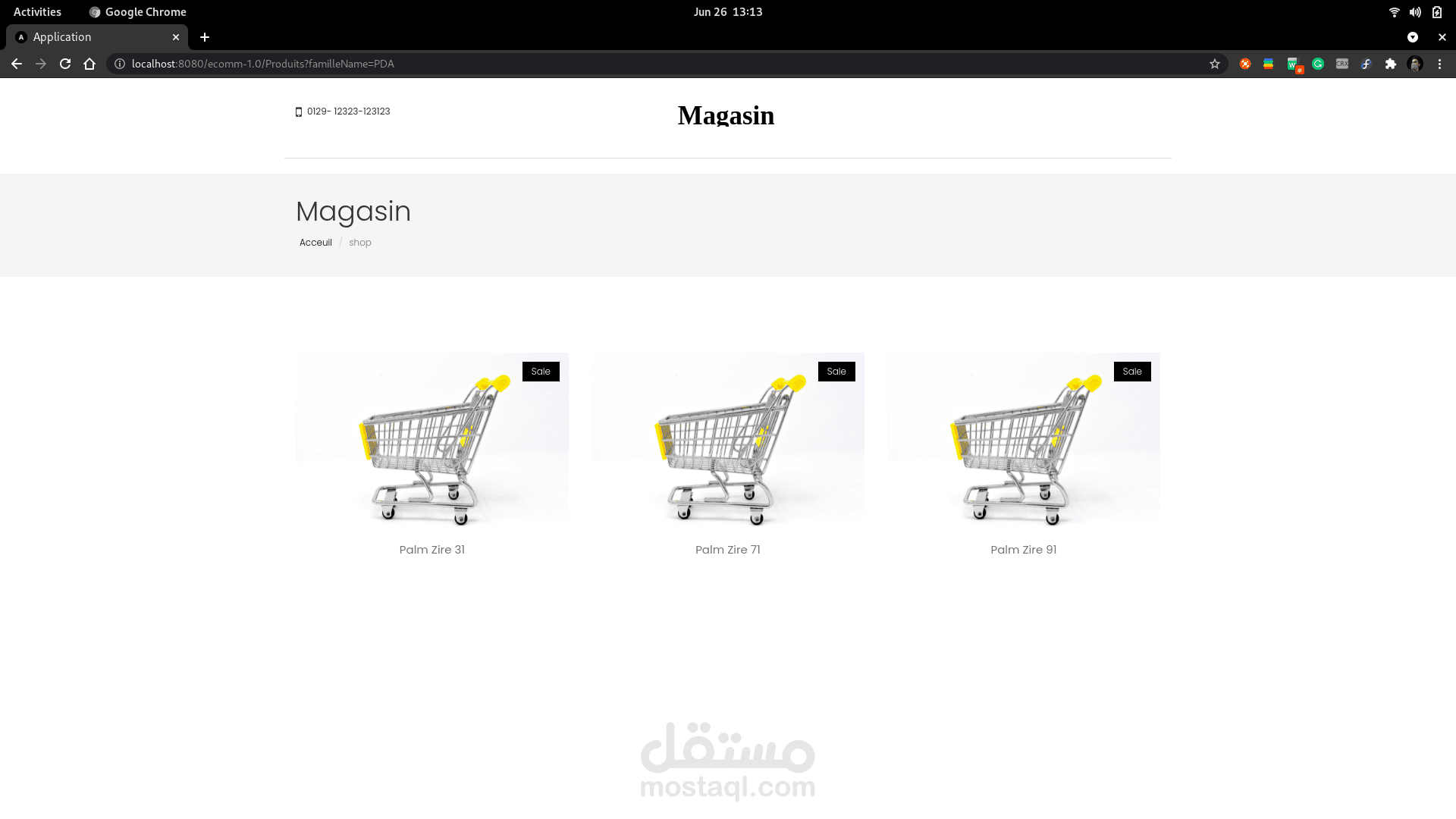 موقع ويب احترافي للبيع والشراء عبر الإنترنت