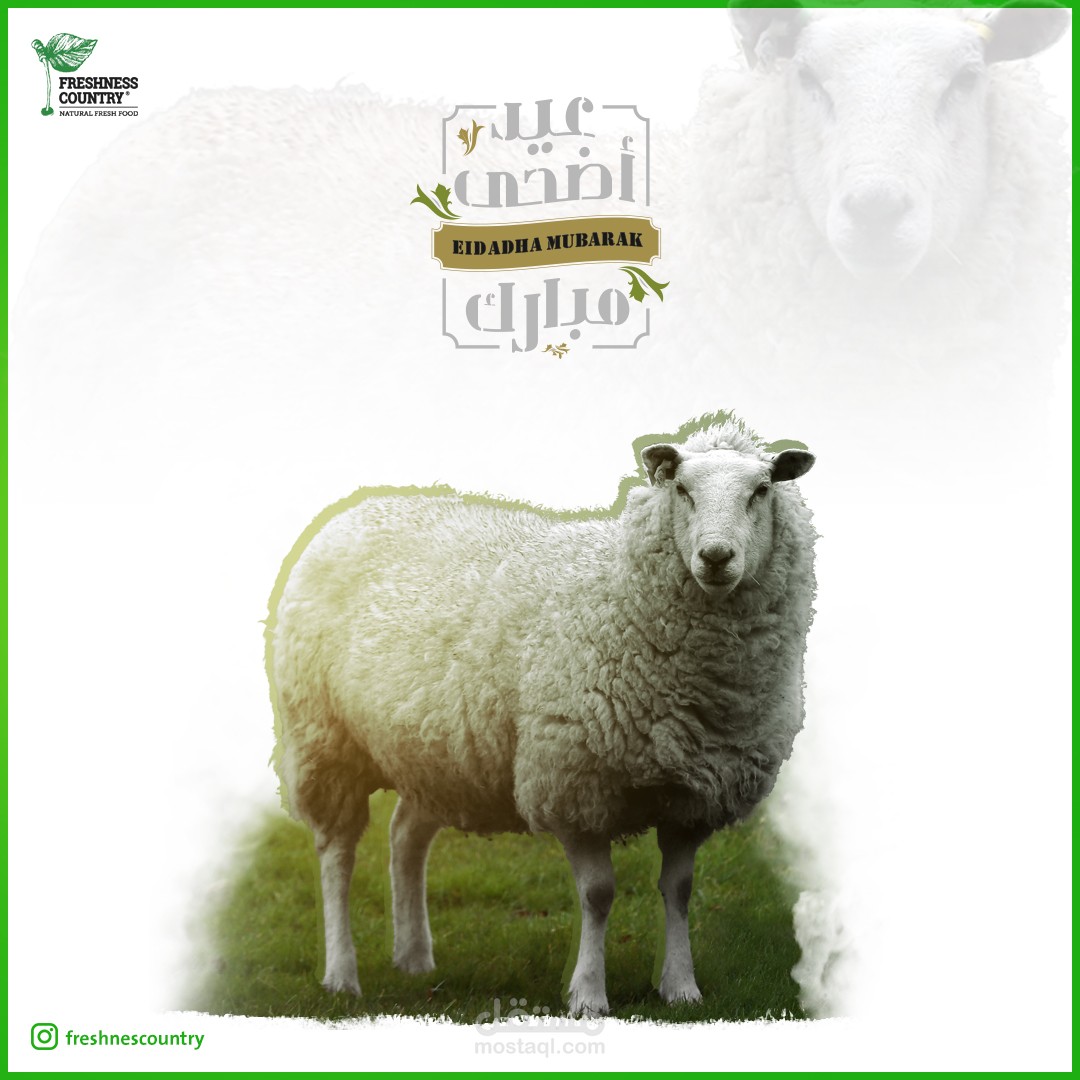 تصميمات سوشيال ميديا - تجميعة أولى