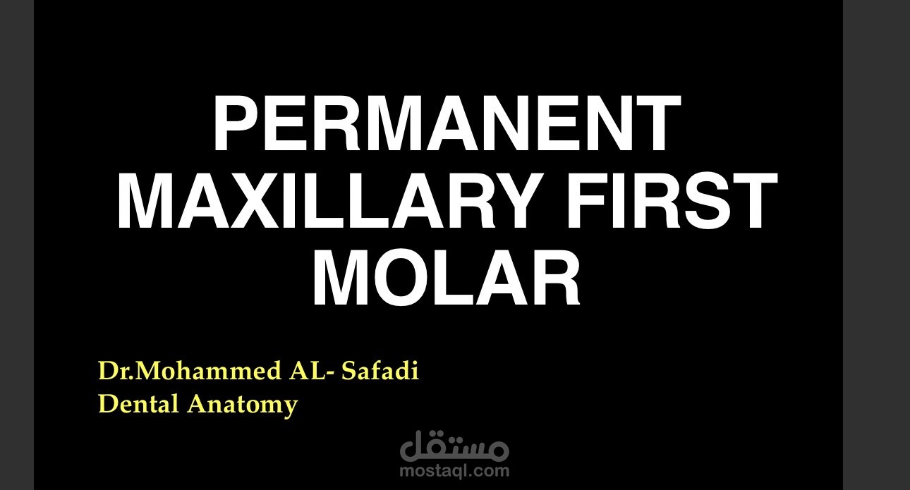 منهج بسيط و متكامل في dental anatomy