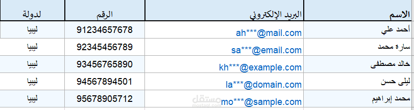 نموذج إدخال بيانات Excel
