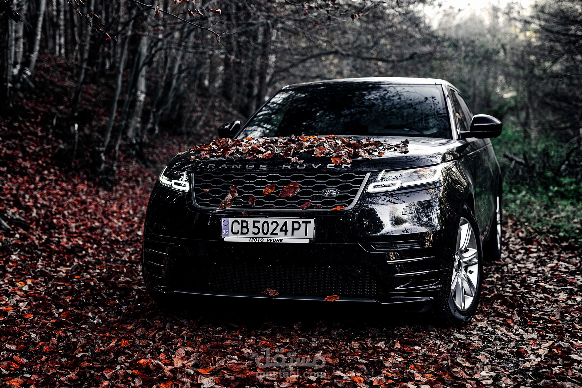 KARZONE | Luxury Car Rental Website