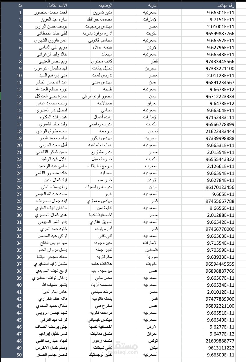 مدخل بيانات محترف