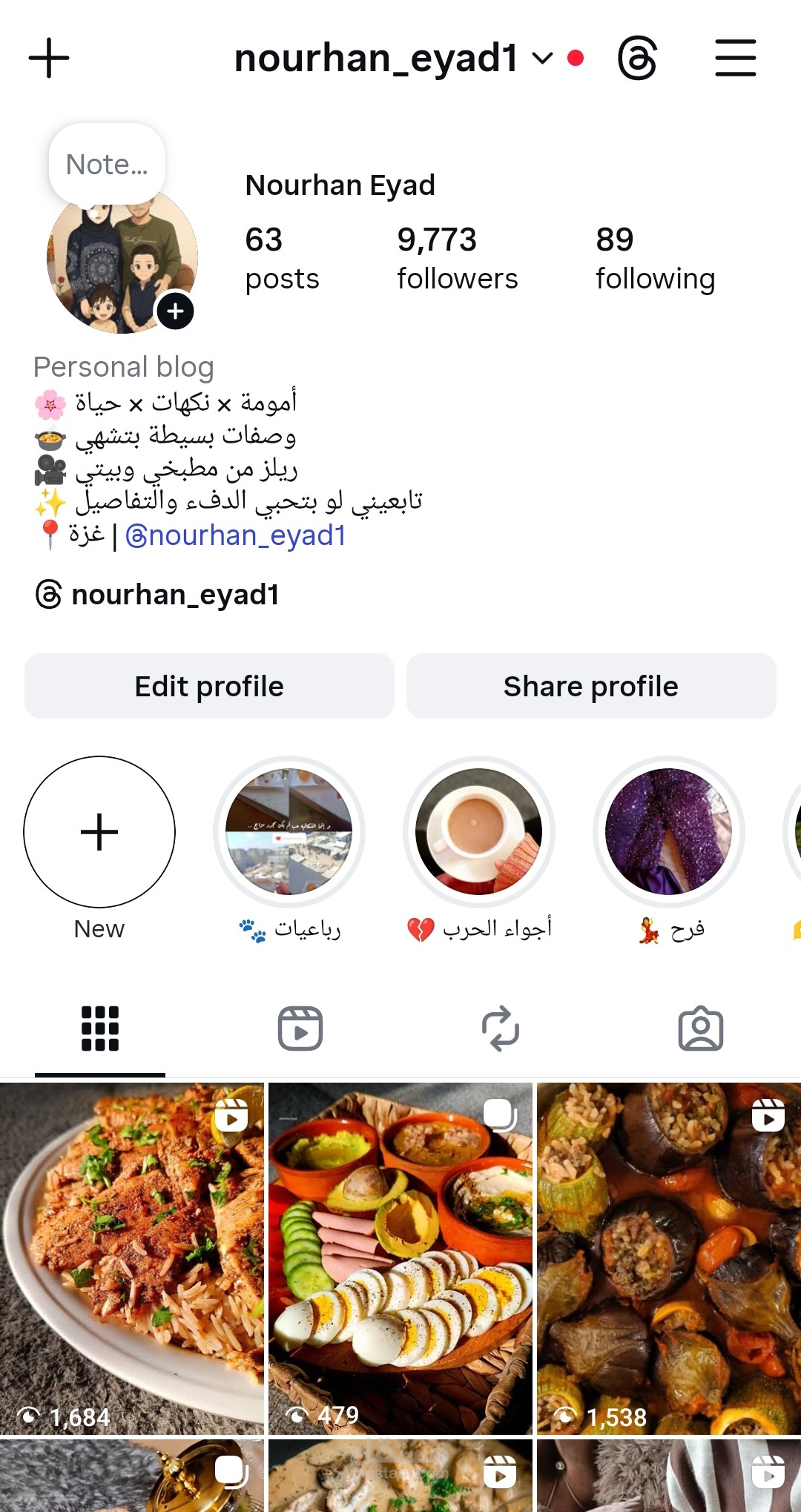 تحليل وتطوير أداء صفحة يوميات على وسائل التواصل الاجتماعي