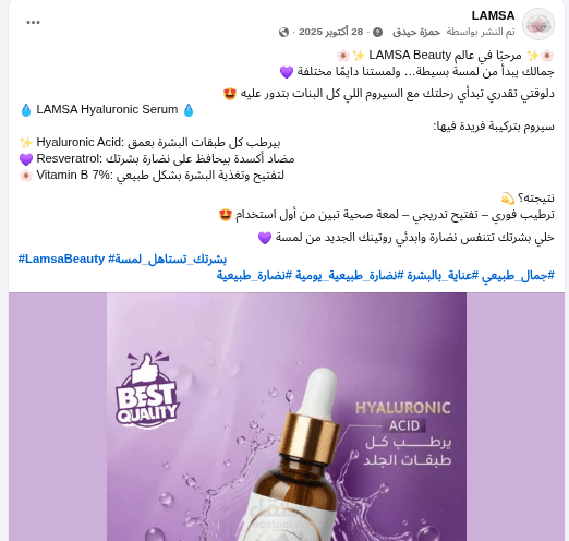 إدارة حسابات التواصل الاجتماعي ووضع استراتيجية محتوى