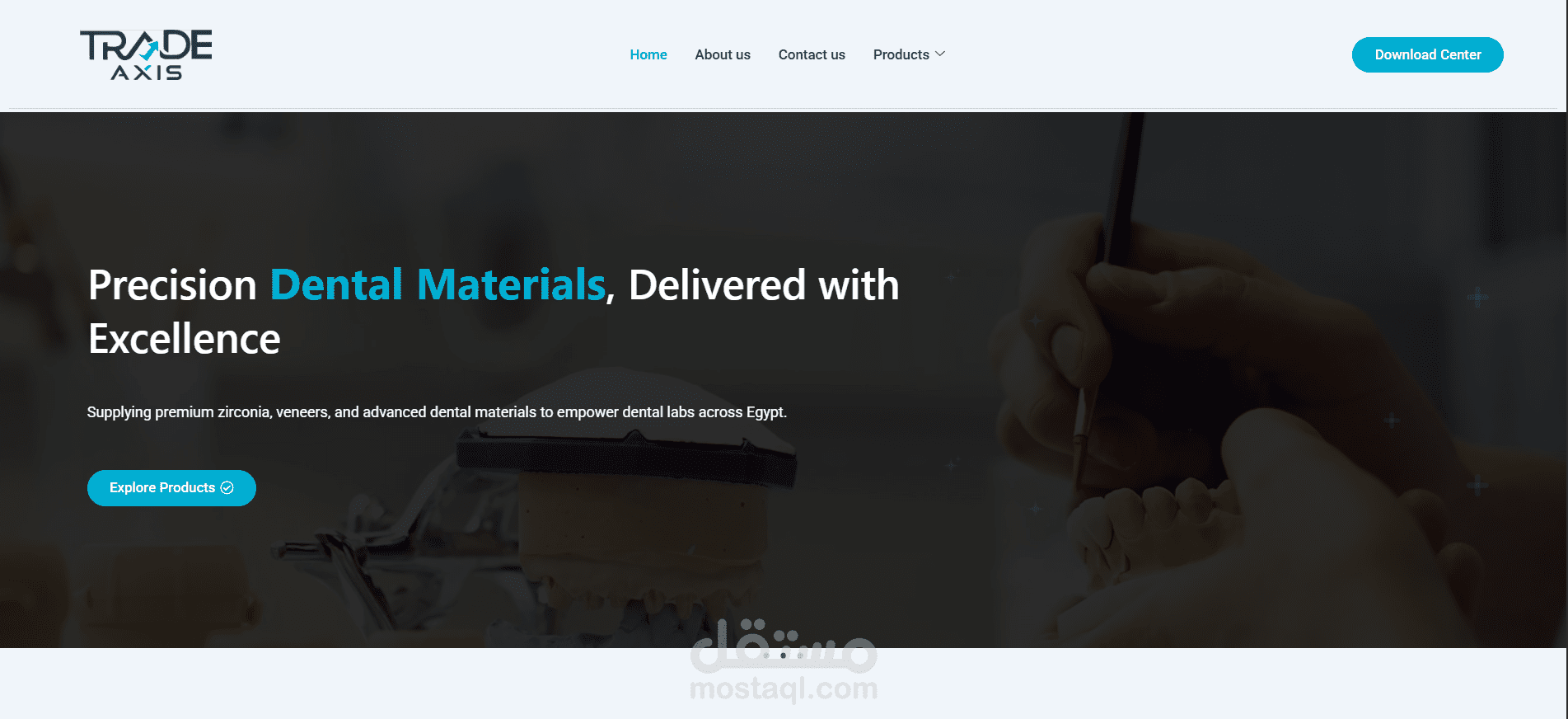 TradeAxisEG – Business & Trading Services Website