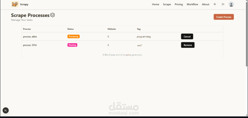 Social Media Scrapping and Analysis