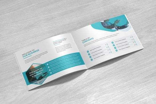 Company Profile