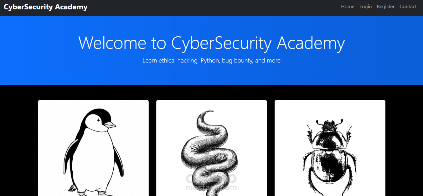 CyberSecurity Academy