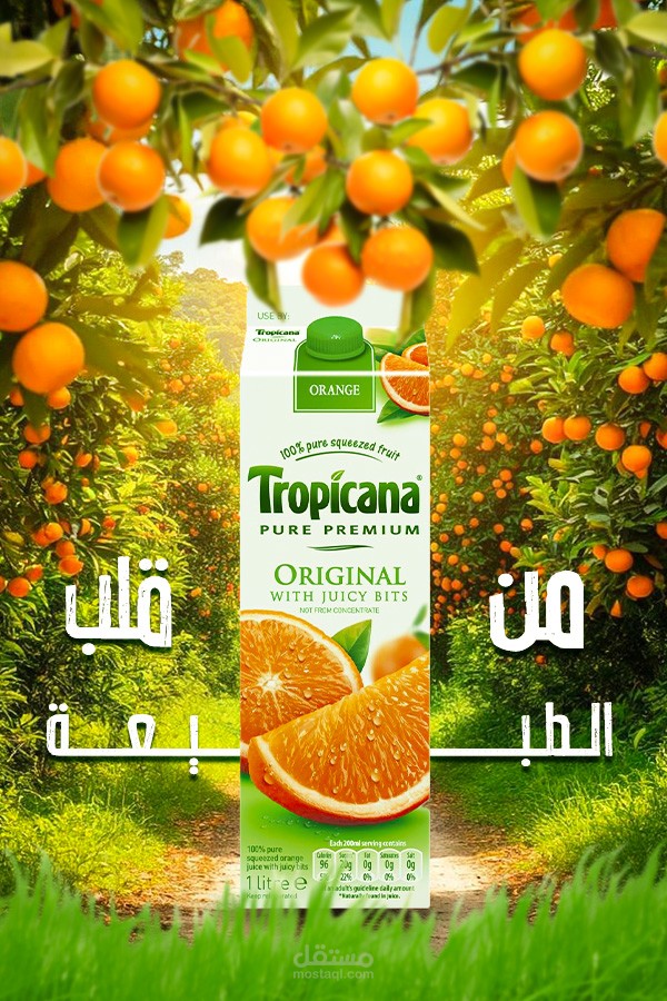 تصميم تدريبي لإعلان سوشيال ميديا