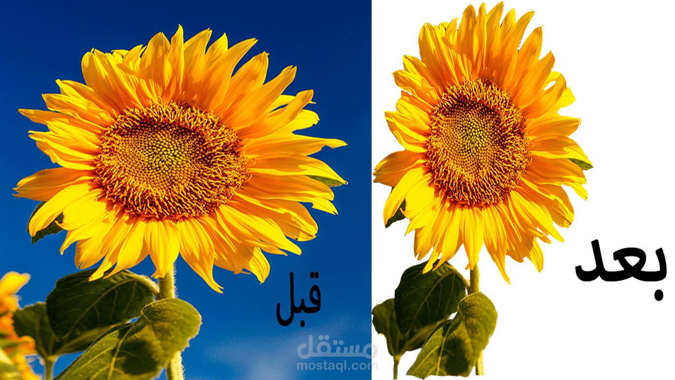 إزالة الخلفية عن الصورة بإستخدام برنامج أدوبي فوتوشوب