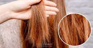 كيف تستبدلين شعرك التالف بشعر قوى و كثيف ؟