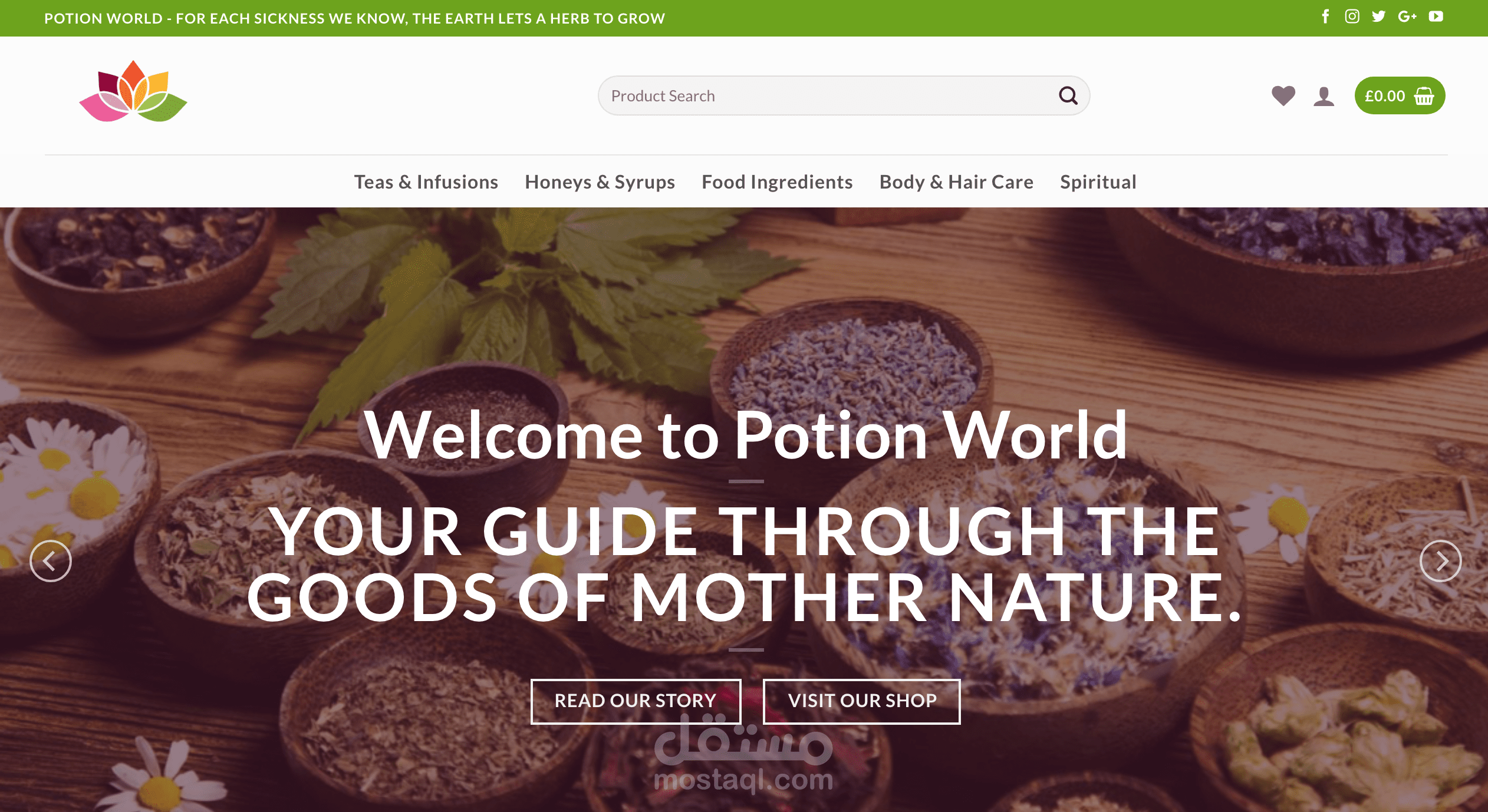 Potion World