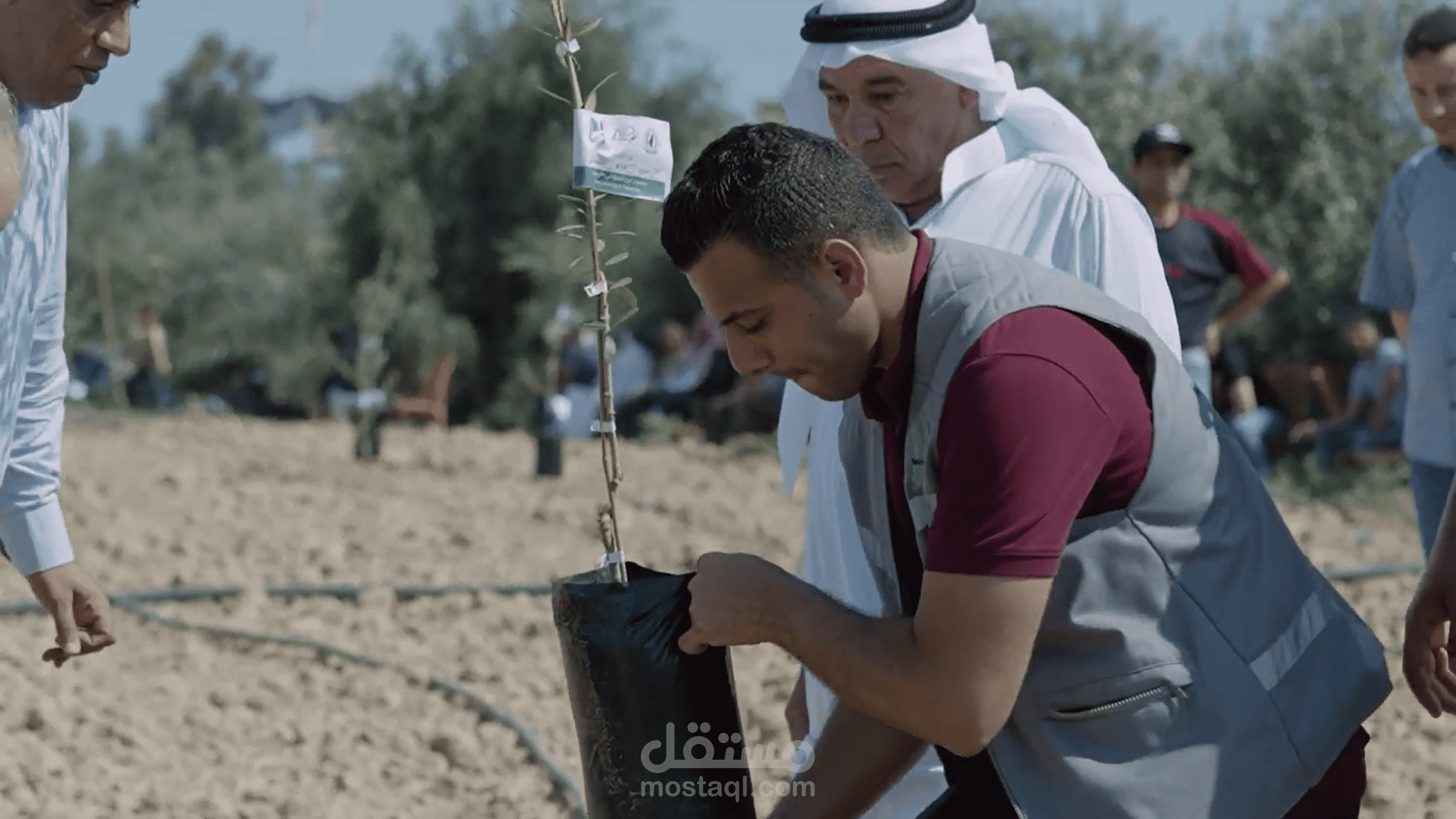 مونتاج فيديو