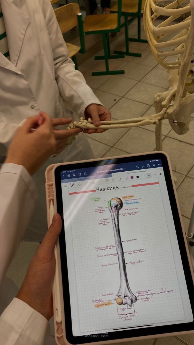 عينة تعليق صوتى طبى متخصص