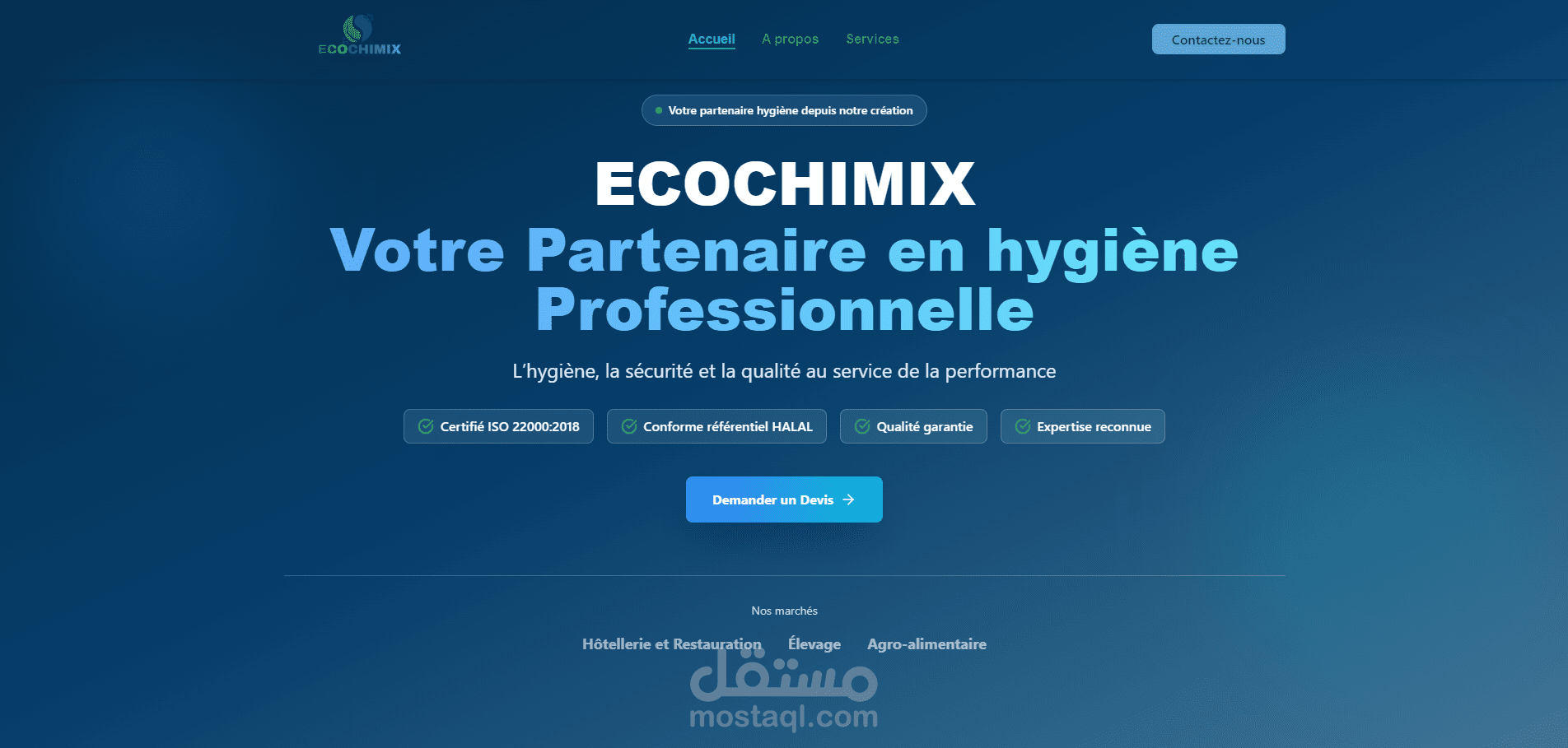 تطوير الموقع الإلكتروني لشركة ECOCHIMIX – حلول النظافة والصناعات الغذائية