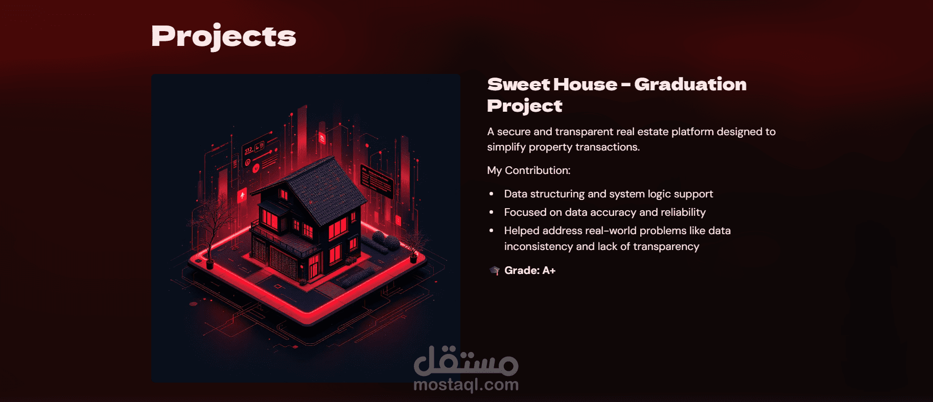 تصميم بورتفوليو احترافي لمحترفي البيانات — Website + PDF + PowerPoint