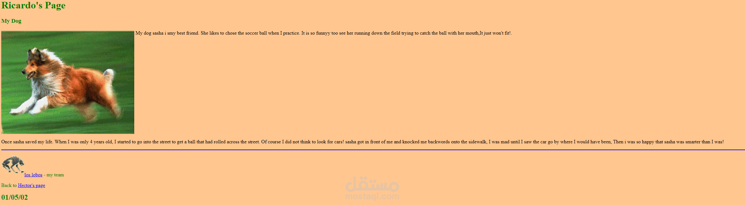 Sample Project - Training Project 3